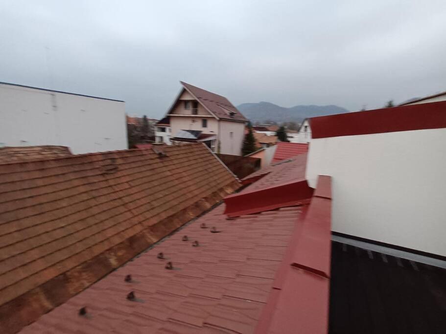 באיה מארה Old Town Studio 1 Apartment Nr 1 מראה חיצוני תמונה